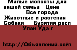 Милые мопсяты для вашей семьи › Цена ­ 20 000 - Все города Животные и растения » Собаки   . Бурятия респ.,Улан-Удэ г.